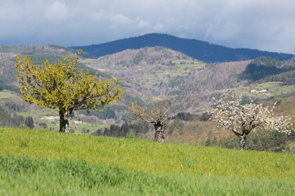 La Bastide De Fontaille Bed & Breakfast Saint-Felicien Luaran gambar