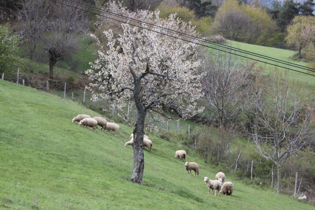 La Bastide De Fontaille Bed & Breakfast Saint-Felicien Luaran gambar