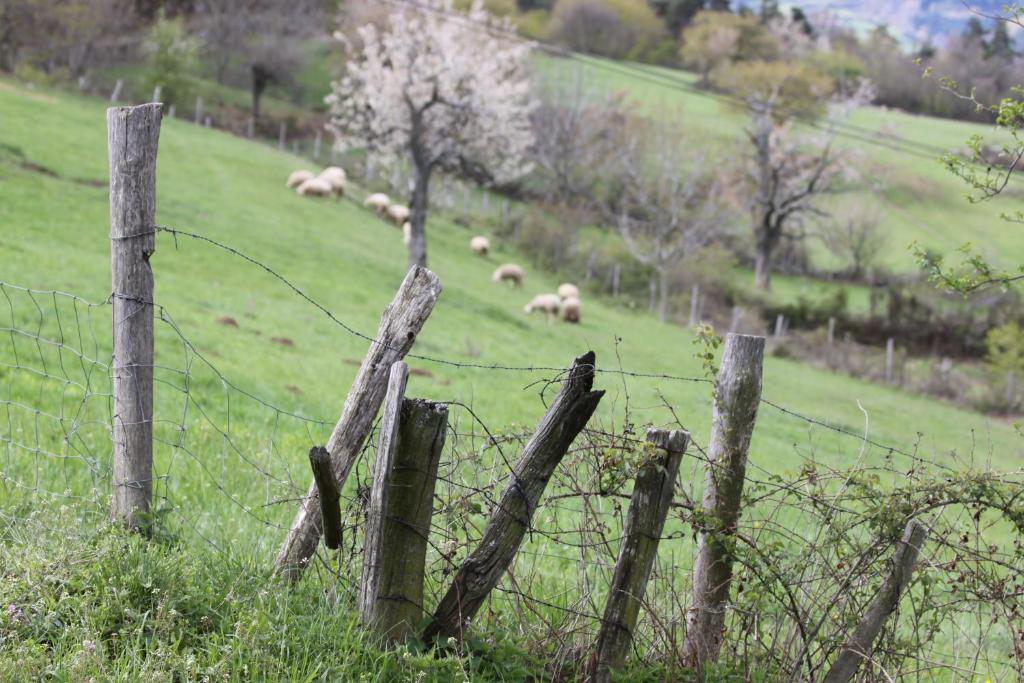 La Bastide De Fontaille Bed & Breakfast Saint-Felicien Luaran gambar